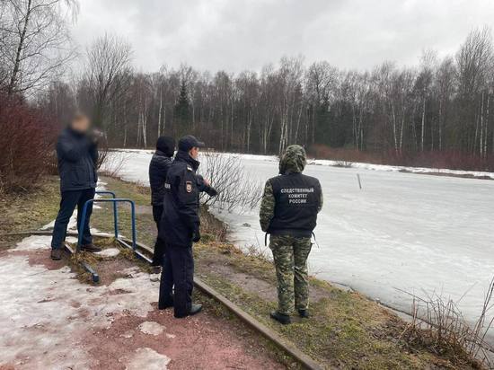 Московские следовали раскрыли убийство 2019 года в парке "Лосиный остров"