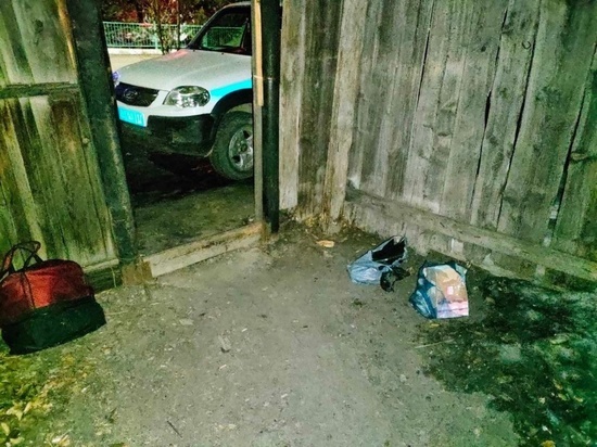 Житель Чадана вынес из чужого дома нетбук, телефоны, украшения и мясо
