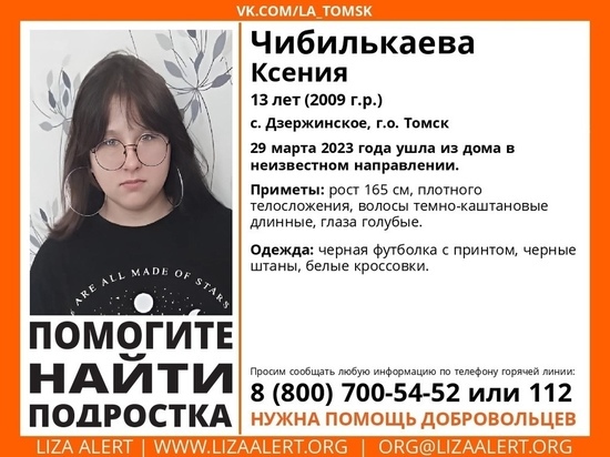 Утром 30 марта в Томске возобновится поиск 13-летней Ксении Чибилькаевой