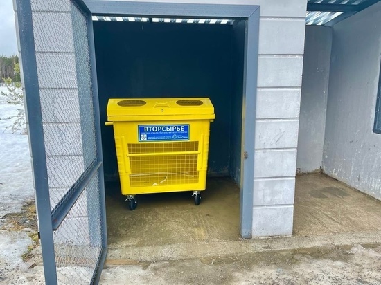 До конца недели в Петрозаводске появятся 500 ярких мусорных контейнеров