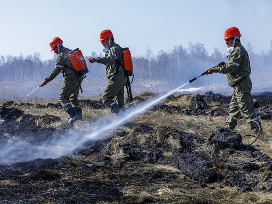 В Челябинской области пожароопасный сезон начнётся раньше срока