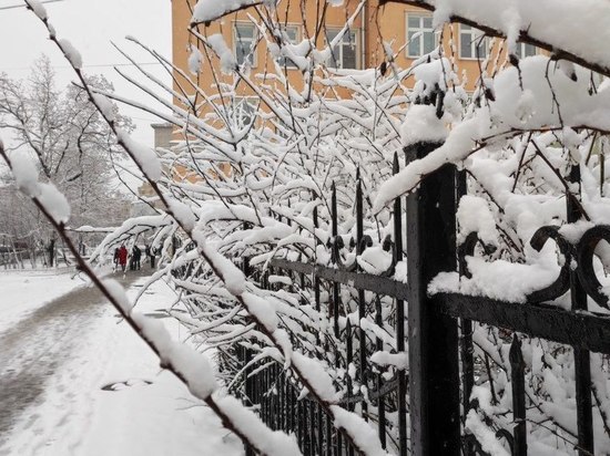 Главный синоптик Петербурга рассказал об итогах мартовских снегопадов