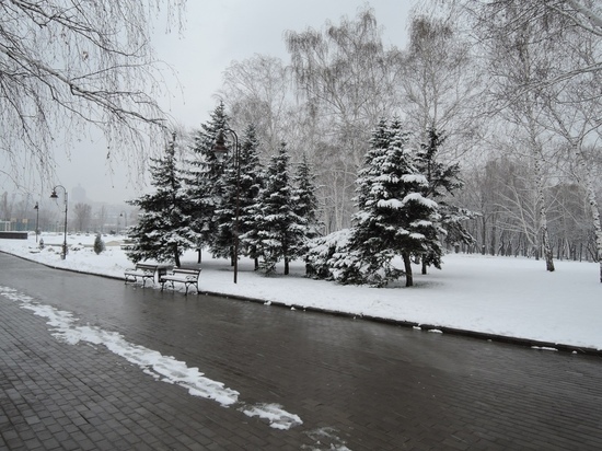 После продолжительного потепления в Донбасс вновь вернулась зима
