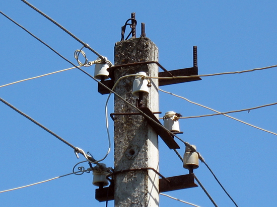 Электрик погиб в люльке во время ремонта проводов в Сергиево-Посадском округе