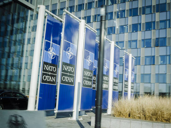 Глава СБУ Малюк сообщил о создании рабочей группы по внедрению стандартов НАТО