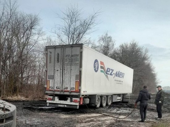 Под Воронежем автоинспекторы помогли водителю грузовика вытащить фуру из грязи