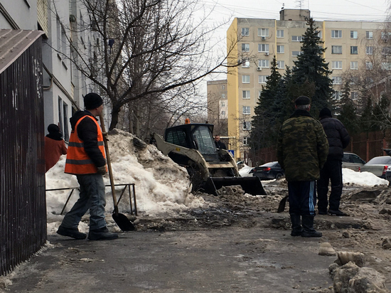 Саратовским прокурорам ответили "эщельбе-мещельбе, насяльника"
