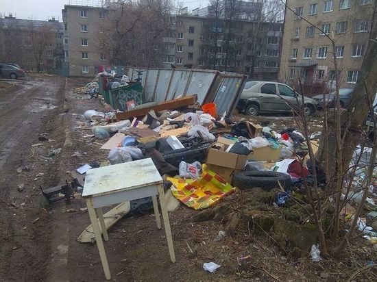 В Рязани ликвидировали стихийные свалки на улицах Качевской и Поселковой
