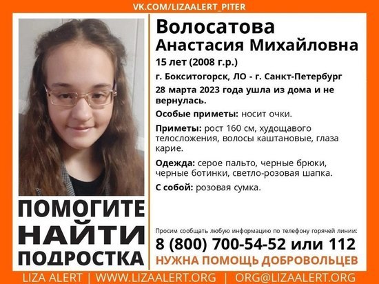 В Бокситогорске с 28 марта не могут найти 15-летнюю школьницу