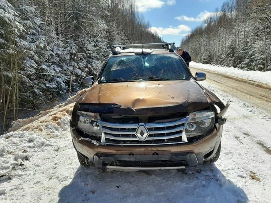 На дороге в Тверской области автомобиль вылетел в кювет: есть пострадавшие