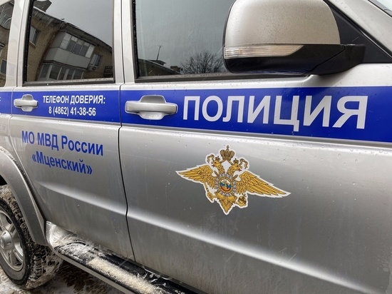 Орловские полицейские ответили на прозвучавшие в эфире федерального канала обвинения в бездействии
