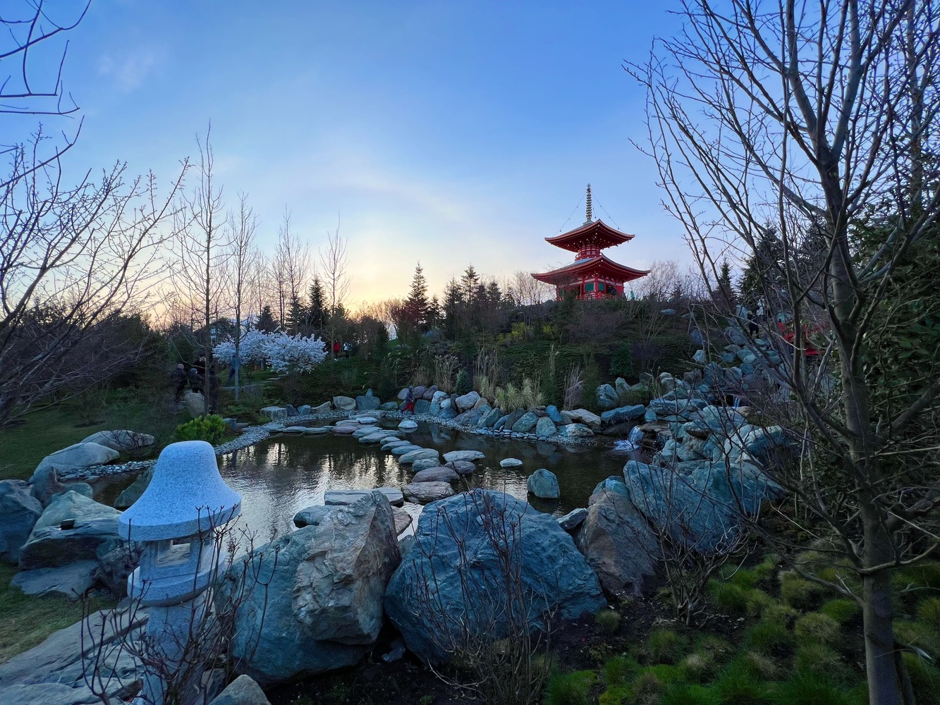 Путешествие в другую страну: чем удивляет новый Японский сад в парке «Краснодар»
