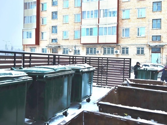 В Лабытнанги еще 265 новых мусорных баков с крышками привезут в апреле
