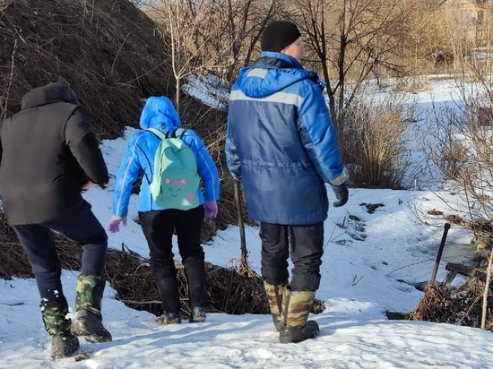 "Мы ищем подростка, у которого свой мир": девочку из томского села Дзержинское нашли живой и здоровой