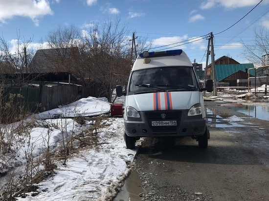 В Новосибирске две женщины застряли в ванне