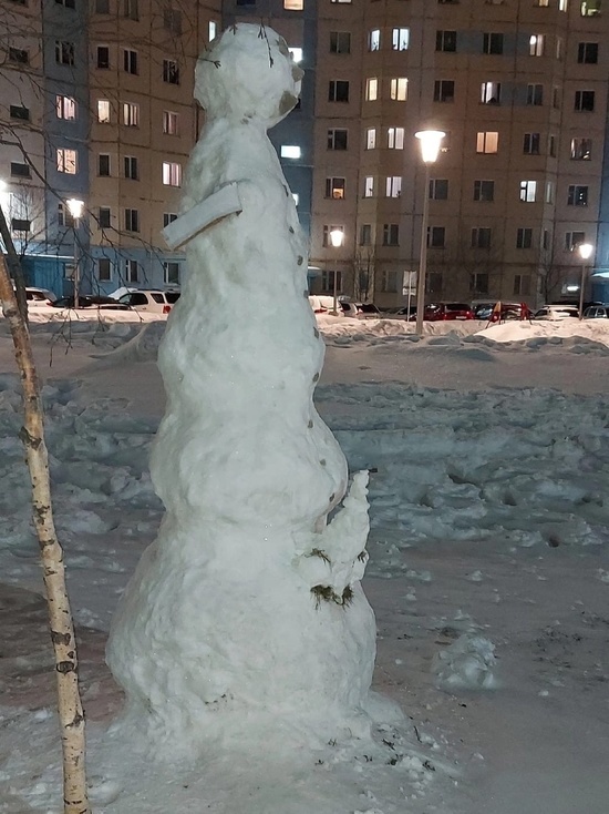 В Надыме слепили двухметрового снеговика с большим членом