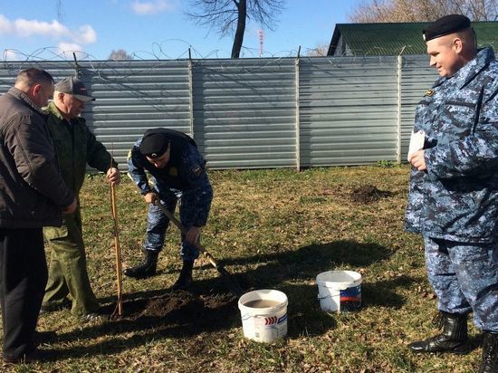 В Курской области судьи посадили «Сад Победы»