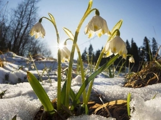 Совсем весна: в Костромской области раньше обычного сошел снег