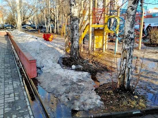 Власти Томска объявили 31 марта районной санитарной пятницей