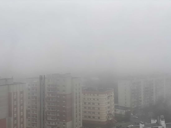 31 марта в Рязанской области выпустили метеопредупреждение из-за тумана