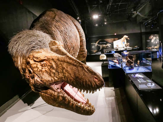 Ученые опровергли мнение о тираннозаврах: у них были губы