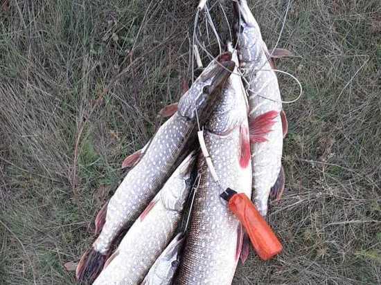 Отдых с рыбалкой в Рязани: лучшие места, советы и идеи