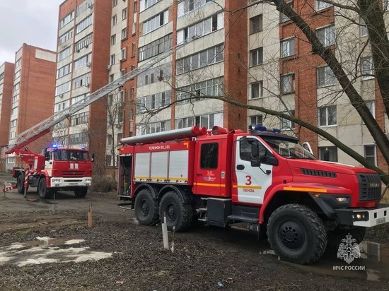 Пензенские пожарные вытащили из огня четверых людей