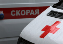 На территории детского оздоровительного лагеря под Зеленоградском получил травмы 39-летний рабочий