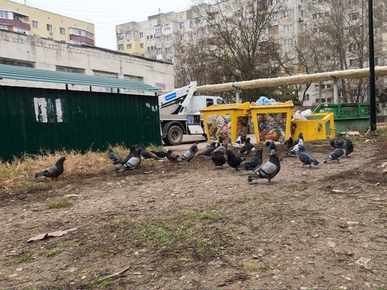 Плату за вывоз ТКО с пустых участков и "с того света" в Крыму перестанут взымать через суды