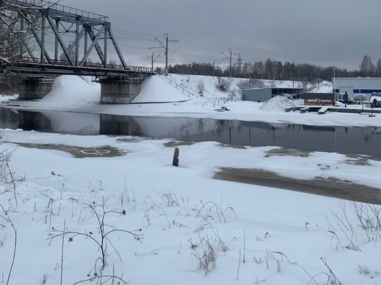 В реке Тигода в Тосно зафиксировали снижение уровня воды