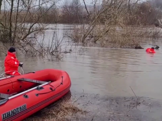 Сотни ребят лишились возможности очной учебы