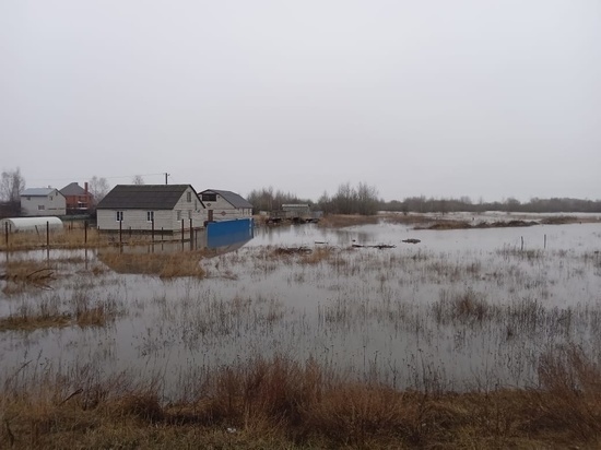 В Рязанской области затопило 9 приусадебных участков