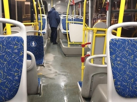 В Липецке активисты проверили чистоту автобусов