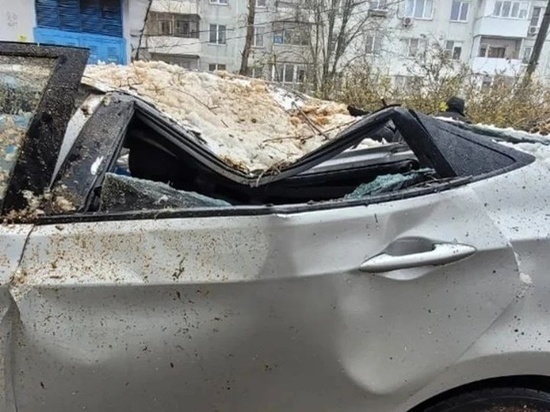 В Ростове дерево упало на припаркованную иномарку