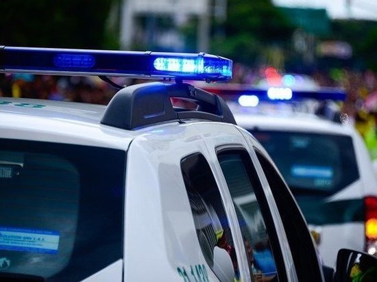 На Кубани многодетная мать угрожала полицейским муляжом пистолета