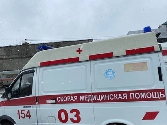 В Барнауле на «зебре» пострадали женщина и ребенок