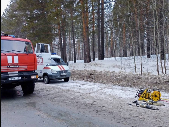 ДТП с участием автобуса произошло на трассе в Новосибирской области