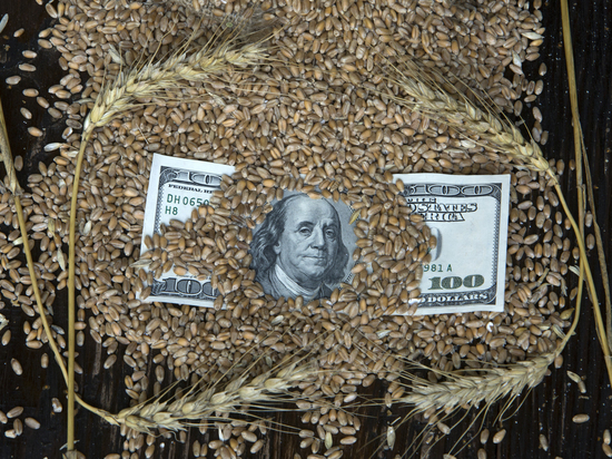 Страны Восточной Европы просят выкупить скопившееся у них украинское зерно