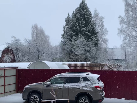 Леус: в Московской области во второй месяц весны пошел снег