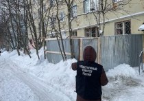 В Апатитах мужчина получил травмы при падении с крыши пятиэтажного дома по улице Ленина. Пострадавший очищал крышу от снежных масс и случайно сорвался вниз.
