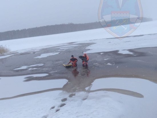 Спасатели вытащили со льда на реке Свирь собаку
