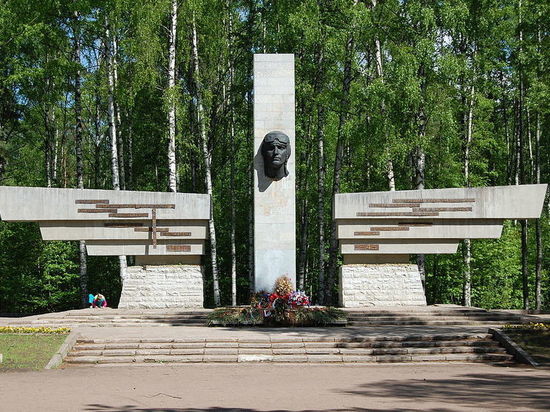 Новые памятники включат в расследование о ненадлежащем содержании мемориалов в Петербурге