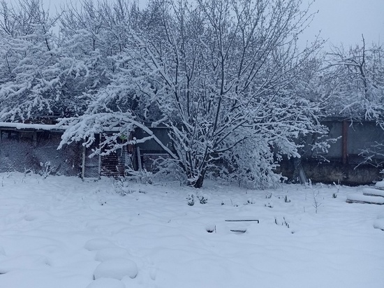 Более 140 тысяч абонентов в ЛНР остаются без света из-за последствий снегопада