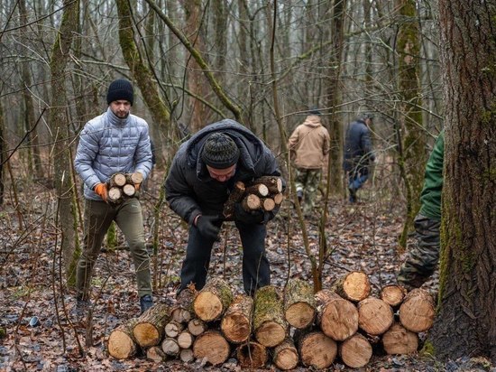 В урочище «Крутой Лог» Курска прошла акция по заготовке дров для бойцов СВО