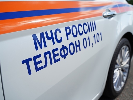 В Тверской области со льдины спасли подростка