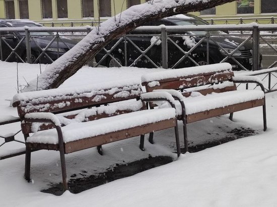 Мокрый снег и до +2 градусов ожидаются в Петербурге 2 апреля