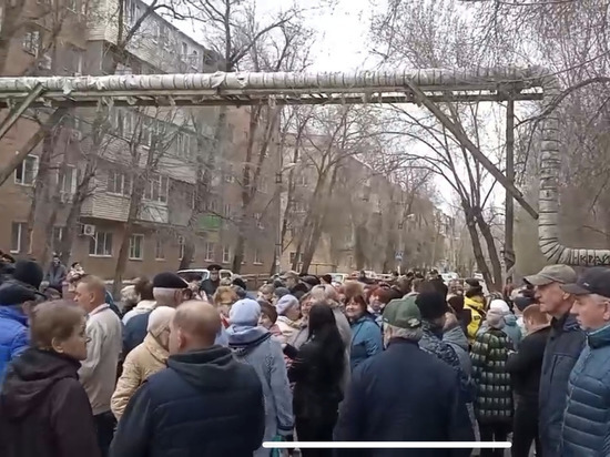 Астраханцы устроили митинг против собак