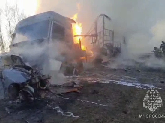 Грузовик и легковушка сгорели на трассе в Омской области после столкновения