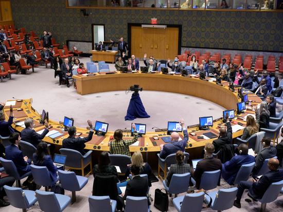 The Sun: украинские власти привело в ярость переход председательства в СБ ООН к России