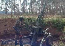 Официальные сводки, свидетельства военкоров, аналитика 
